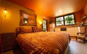 Tranquil Rainforest Studio Kuranda